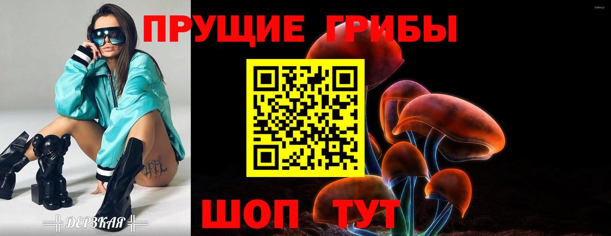 Лесозаводск  Псилоцибиновые грибы MAGIC MUSHROOMS  Вход с VPN 